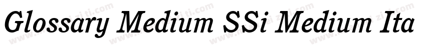 Glossary Medium SSi Medium Italic字体转换